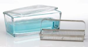 Cuve de coloration et couvercle seuls, 50 lames, verre sodocalcique de Type III, clair x 3