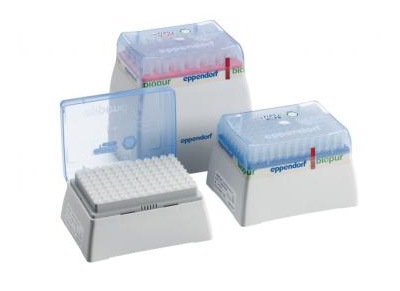 Pointe epTIPS rack 0,5-10 ml 165 mm pointe incolore x 24 x 5