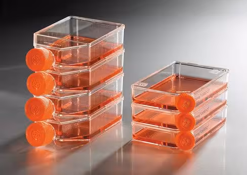 Flacon de culture 25 cm2 rectangulaire col incliné bouchon ventilé stérile par 5 x 5