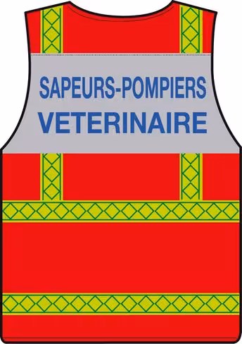 Gilet haute visibilité vétérinaire - bandes vertes microprismes