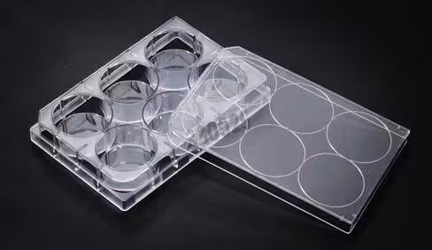 Plaque de culture PS 6 puits non traitée fond plat stérile unitaire x 50