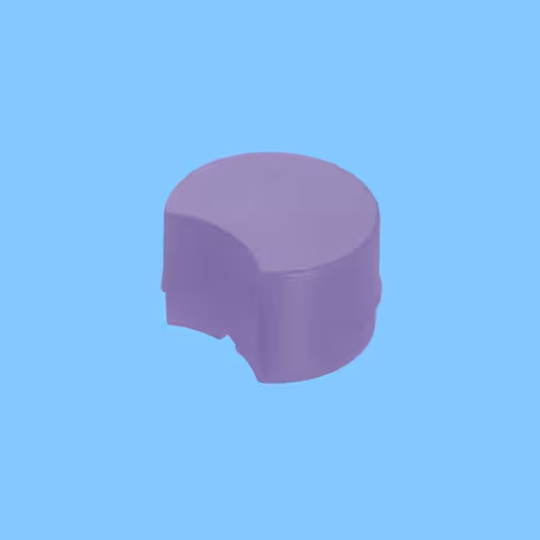 Insert violet pour bouchon des Cryotubes CryoPure x 100