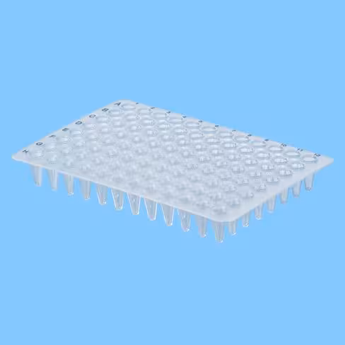Plaque PCR 96 puits 0,2 ml, Low Profil, sans jupe x 100