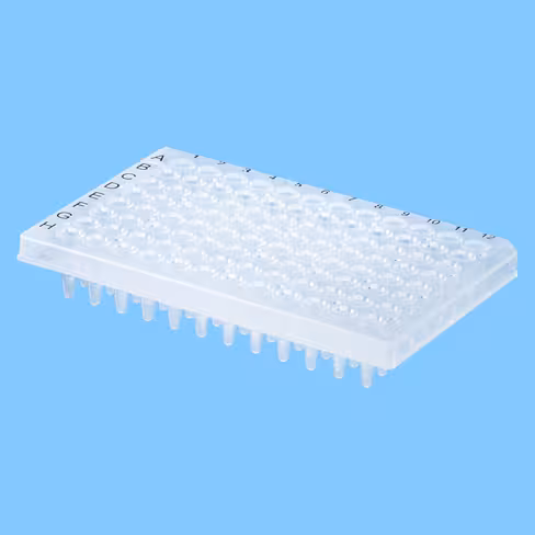 Plaque PCR 96 puits 0,3 ml demi jupe x 100