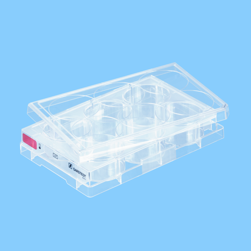 Plaque 6 puits pour culture cellulaire par 5 fond plat gamme rouge cellules adhérentes x 100