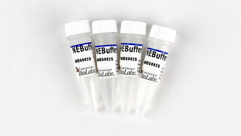 NEBuffer r2.1 5 ml