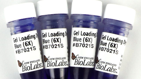 Gel Loading Dye, Blue (6X) 4 ml