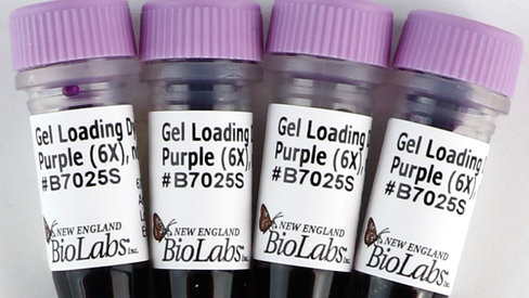 Gel Loading Dye, Purple (6X), no SDS 4 µg