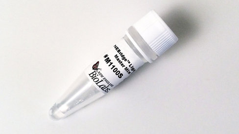 NEBridge Ligase Master Mix 50 unités