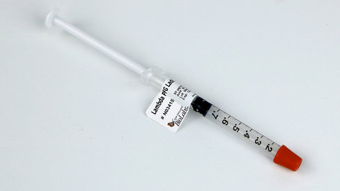 Lambda PFG Ladder 50 µg