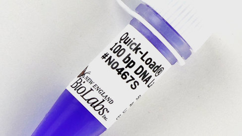 Quick-Load 100 bp DNA Ladder 125 gel lanes