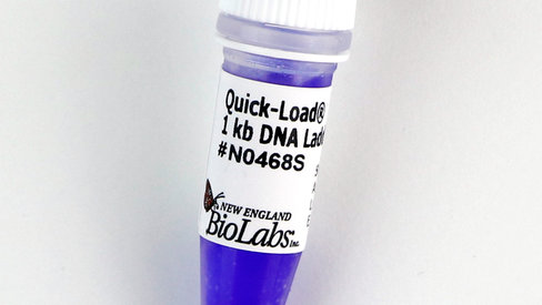 Quick-Load 1 kb DNA Ladder 375 gel lanes