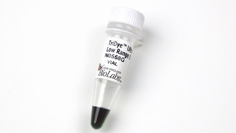 TriDye Ultra Low Range DNA Ladder 250 ml