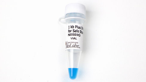 1 kb Plus DNA Ladder for Safe Stains 250 gel lanes