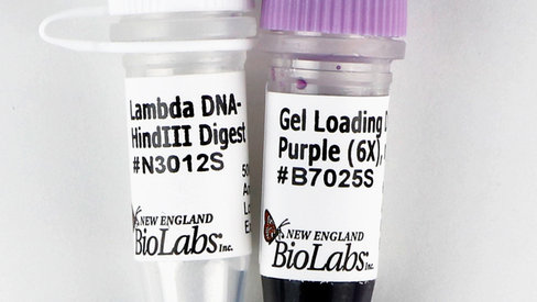 Lambda/Hind III Digest 750 gel lanes