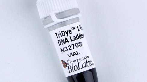 TriDye 1 kb Plus DNA Ladder 250 gel lanes