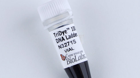 TriDye 100 bp DNA Ladder 125 gel lanes