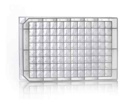 Plaque de stockage deep well 96 puits carrés 2,2 ml fond V x50