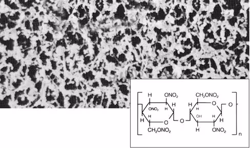 Membrane nitrate de cellulose 8µm 25 mm x 100