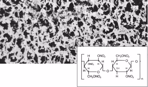 Membrane cn 0,8 µm 47 mm x 100