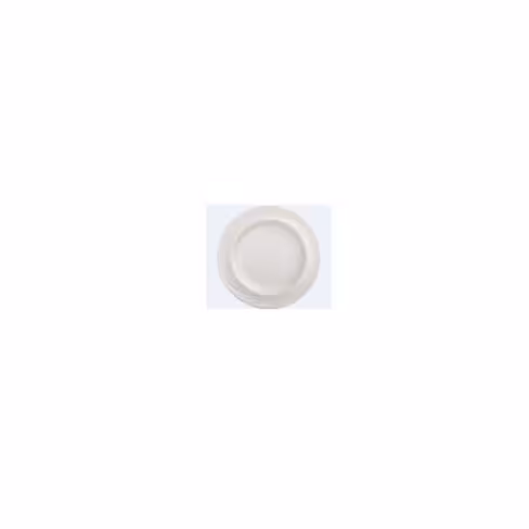 Assiette plate Donna Sénior Ø 24 cm - lot de 6
