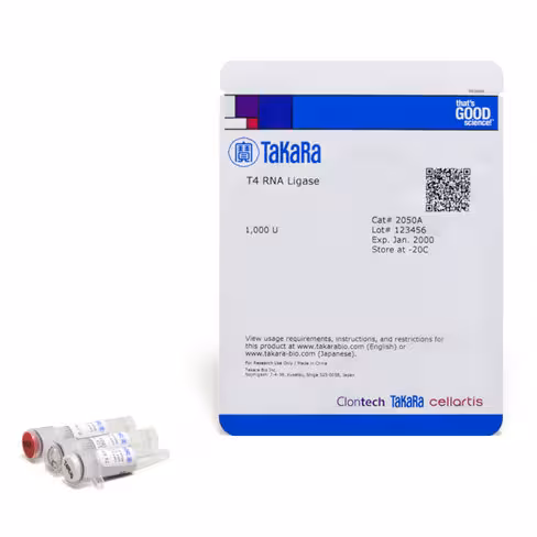 T4 arn ligase 1000 unités