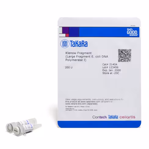 Klenow fragment (large fragment e.coli adn polymerase i) 200 unités