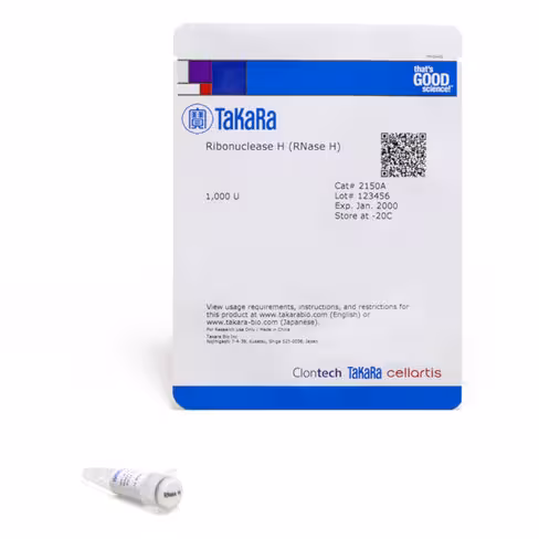 Ribonuclease h (rnase h) 1000 unités