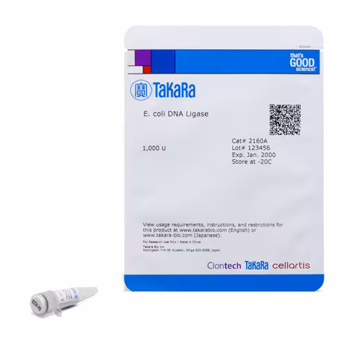 E.coli adn ligase 1000 unités