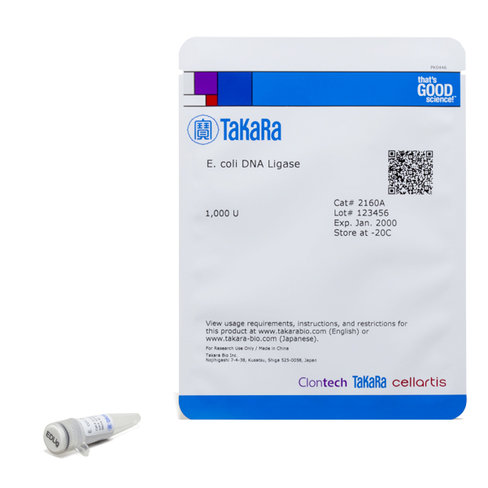 E.coli adn ligase 1000 unités