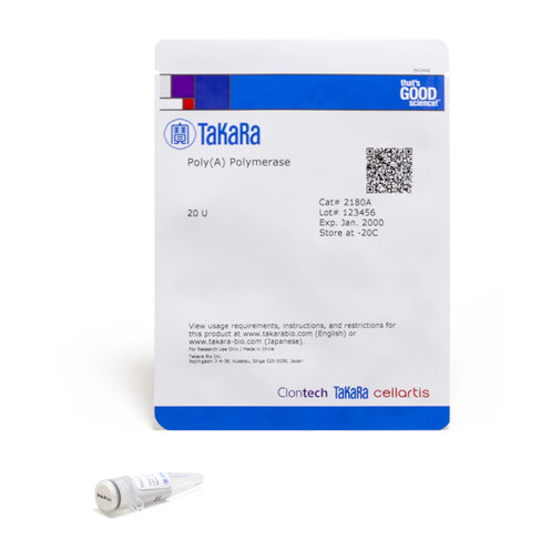 Poly (a) polymerase [5x 2180a] 100 unités