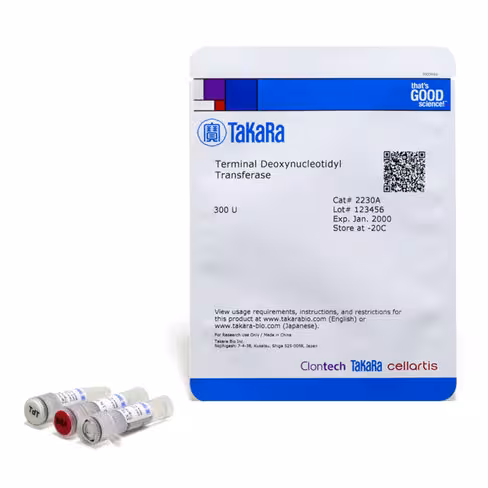Terminal deoxynucleotidyl transferase 300 unités