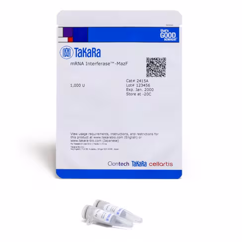 Mrna interferase-mazf 1000 unités
