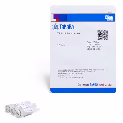 T7 arn polymerase 5000 unités