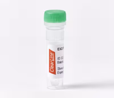 Kit exo pcr clearup 500 réactions