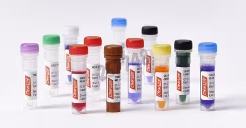 Solution extraclear pour extraction d'ADN 500 réactions