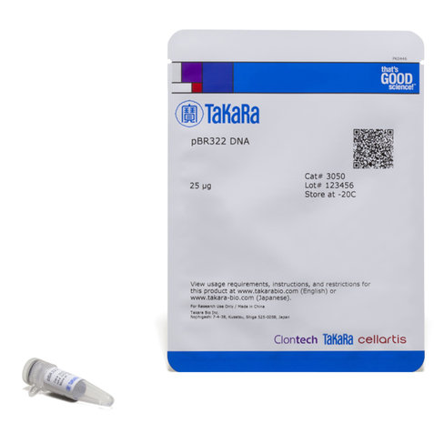 Plasmide pbr322 25 µg