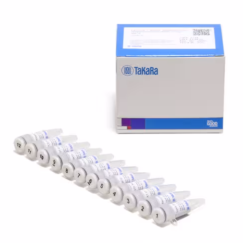 Kit d amplification du transcriptome entier cellamp (temps réel) 100 Réactions