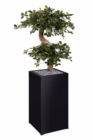 Jardinière métallique O'Carré - l. 38 x h. 158 x pr. 38 cm - avec bonsaï