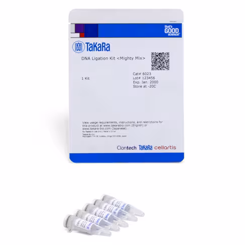 Le kit de ligature d adn mighty mix 100 Réactions