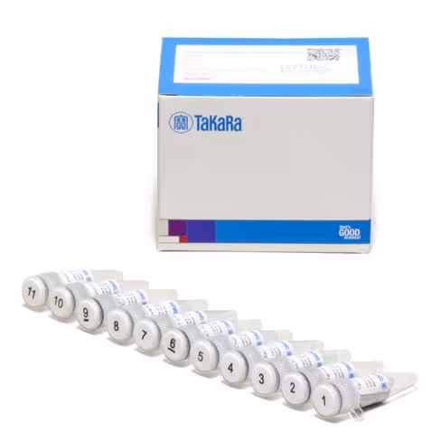 Kit de quantification des sirna synthétiques (core kit) 30 Réactions
