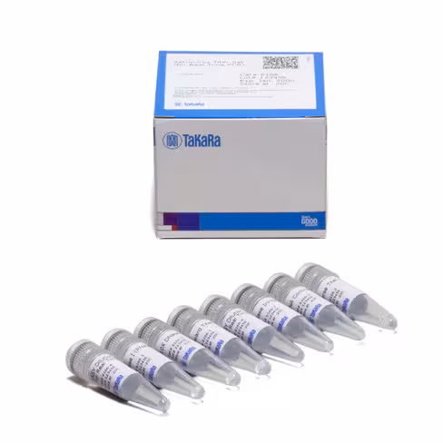 Kit de détermination du titre retrovirus (pour pcr en temps réel) 100 Réactions