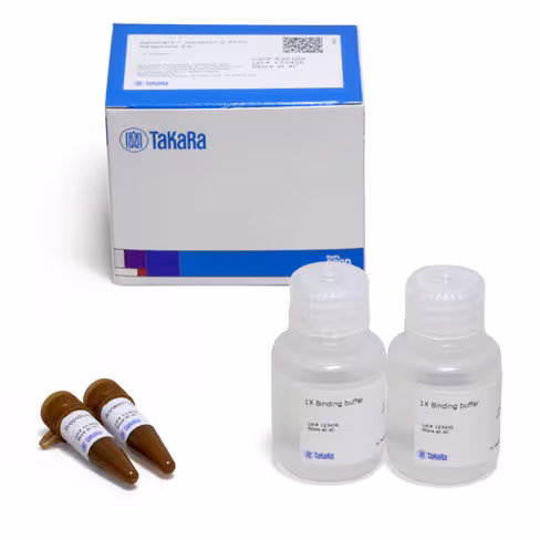 Test d apoptose à l annexine v-fitc apoalert 50 Réactions