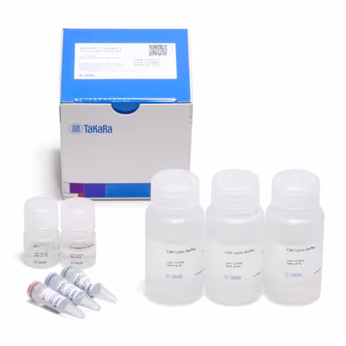 Kit de dosage de l activation de la caspase-3 par fluorescence 100 Tests