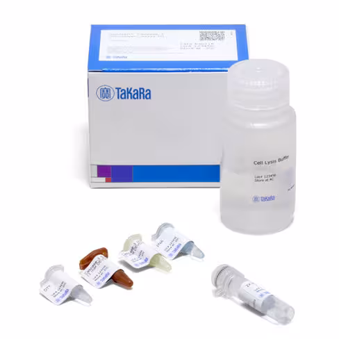 Kit de dosage de l activation de la caspase-3 par colorimétrie 25 Tests