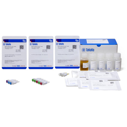 Systèmee matchmaker gold pour crible double hybride en levure 1 Kit