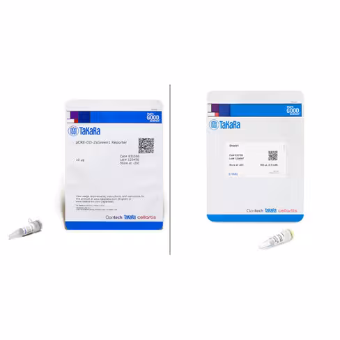 System rapporteur cre dd vert 1 Kit