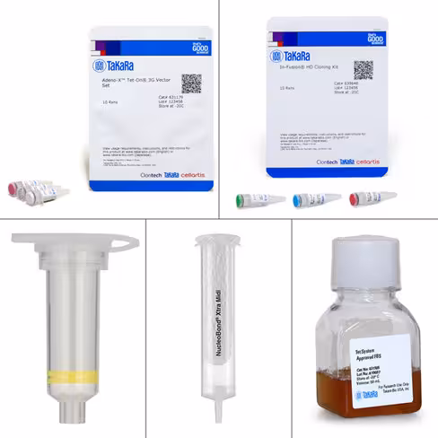 Systèmee d expression adénoviral adeno-x system 3 (tet-on 3g inducible) 10 Réactions