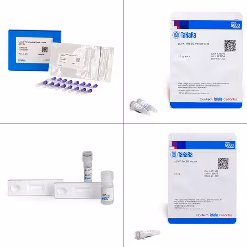 Systèmee d expression inductible lenti-x tet-on 3g 1 Kit