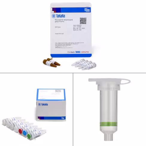 Kit lenti-x de quantification des provirus 200 Réactions